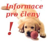 info_clen